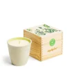Outlet Daylesford Organic Limited Edition Bergamot Botanic Candle