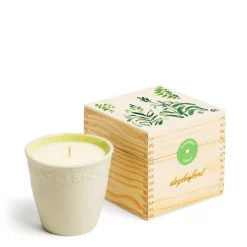 Outlet Daylesford Organic Limited Edition Bergamot Botanic Candle