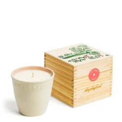 Sale Daylesford Organic Limited Edition Vine Tomato Botanic Candle
